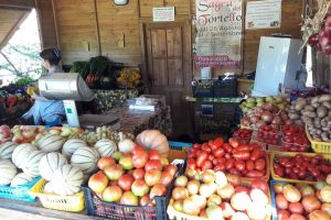 Einkaufen an den Obst- und Gemüseständen